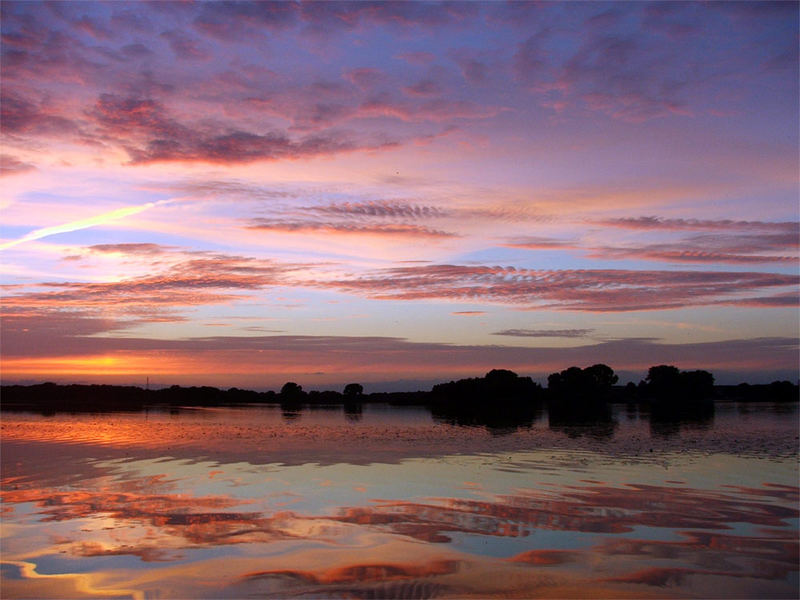 Natural mirror von Maxi T.