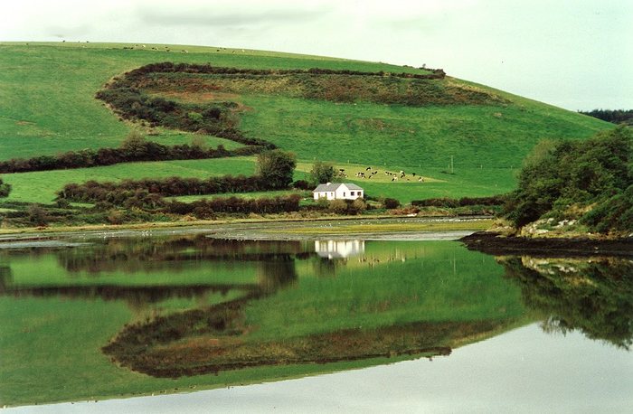 Natural Mirror / Natürlicher Spiegel