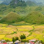 Natural painting with Couple mountain