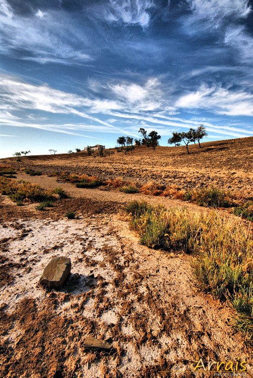 Natural paintings