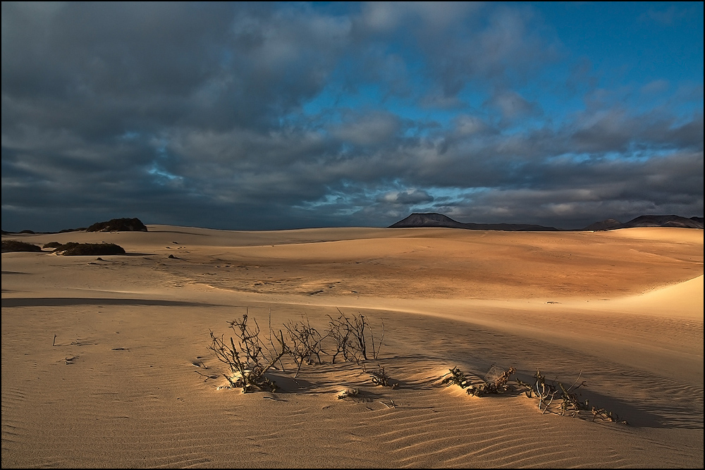 Natural park of dunas de Corralejo 2