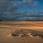 Natural park of dunas de Corralejo 2