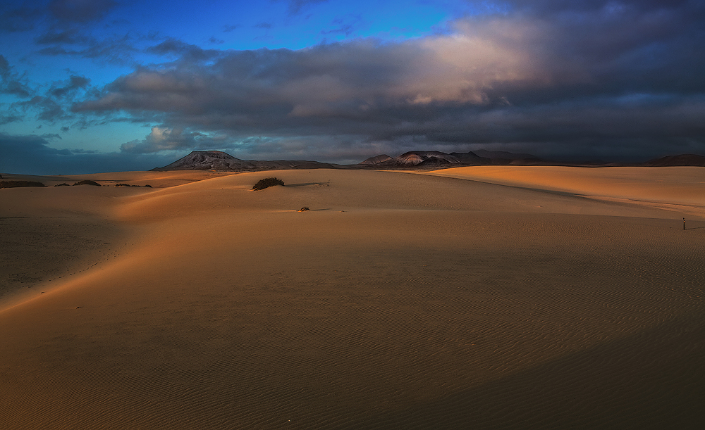 Natural park of dunas de Corralejo