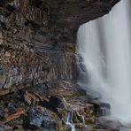 Natural Shower