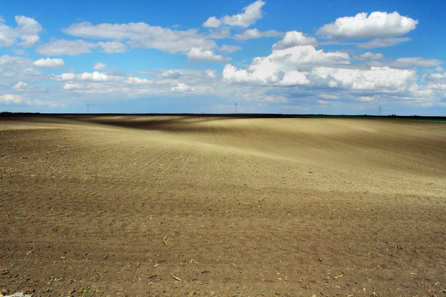 " Natural treasure " of Vojvodina