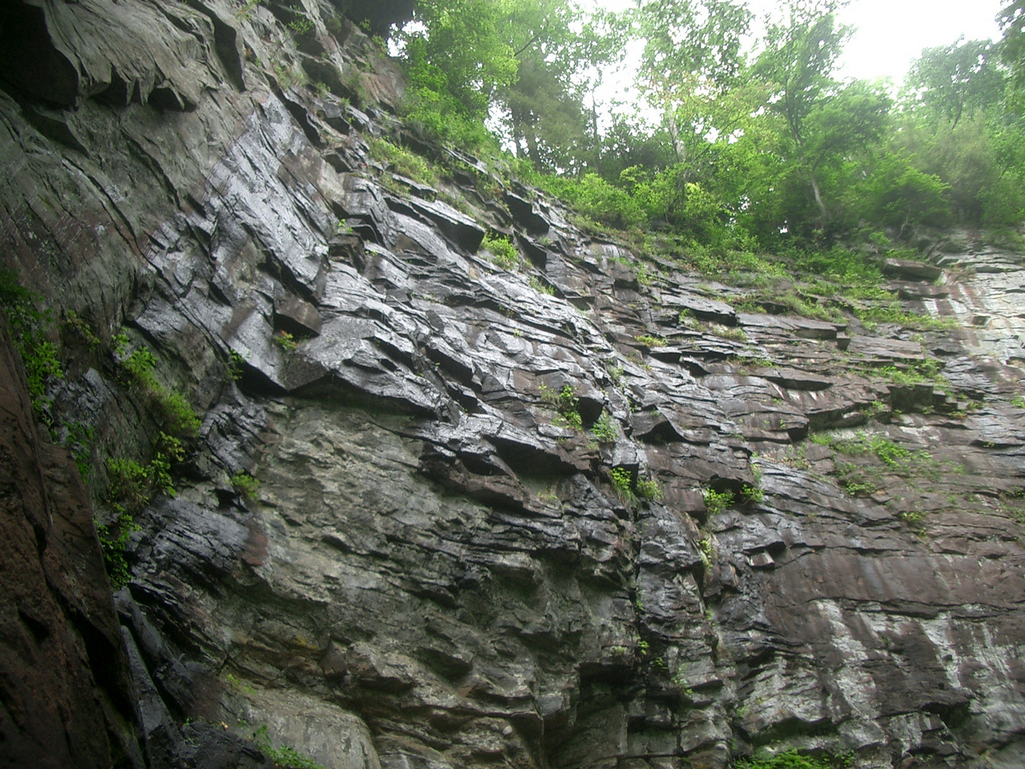 Natural Wall