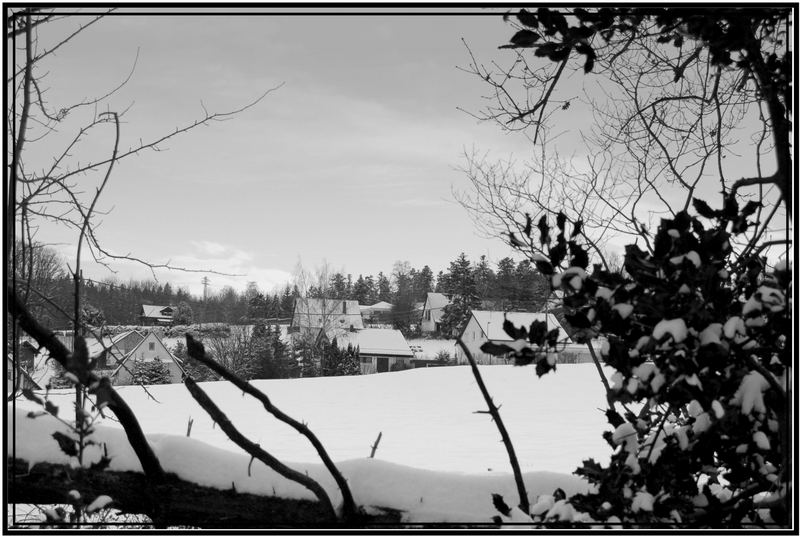 Natural window B&W