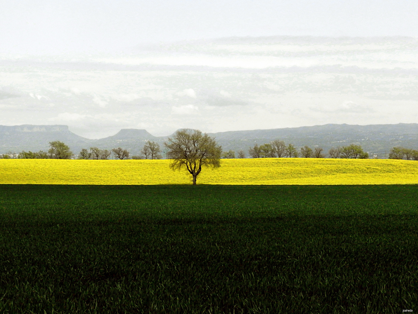 NaTuRaLeZa