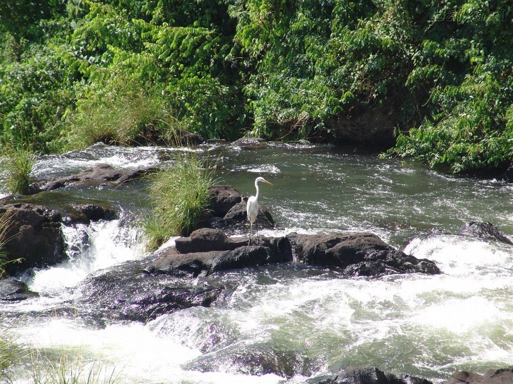 Naturaleza