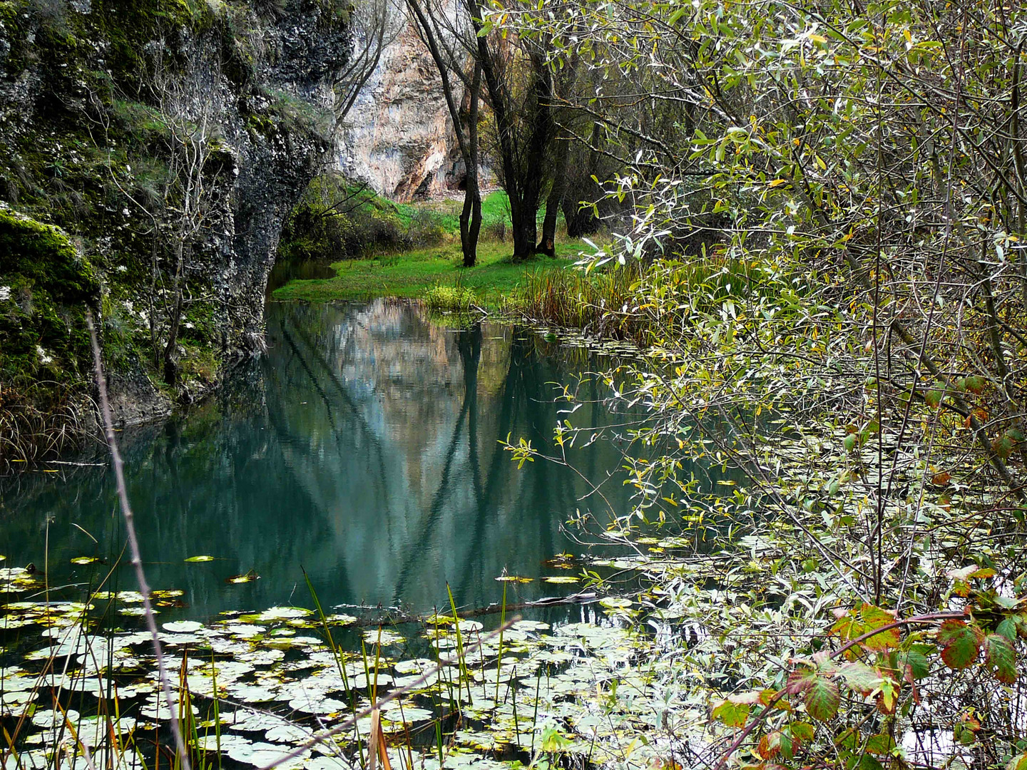 Naturaleza