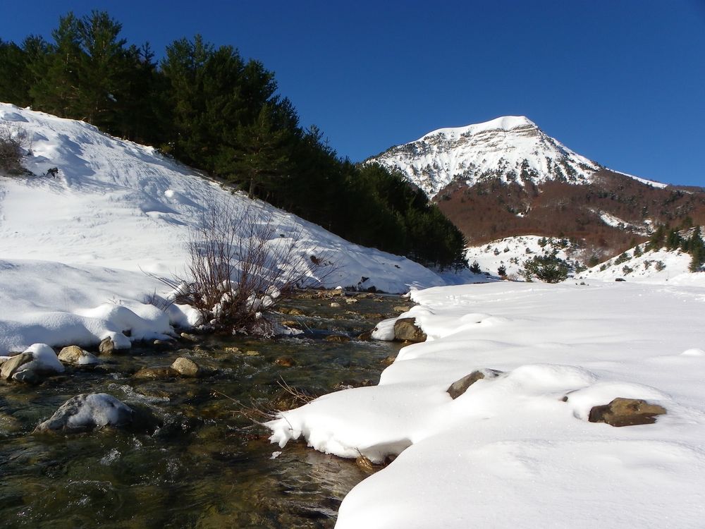 Naturaleza Blanca - Valle de Linza de Danaji89