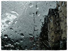 Naturaleza callejera, lluvia