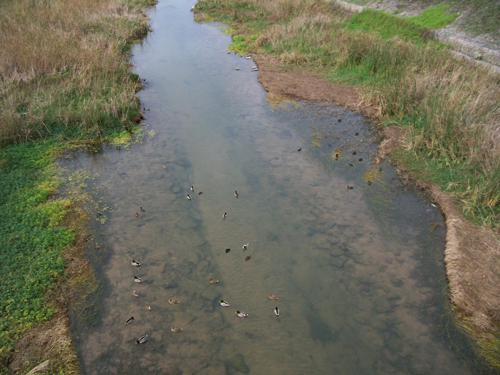 NATURALEZA CERCANA A LA CIUDAD