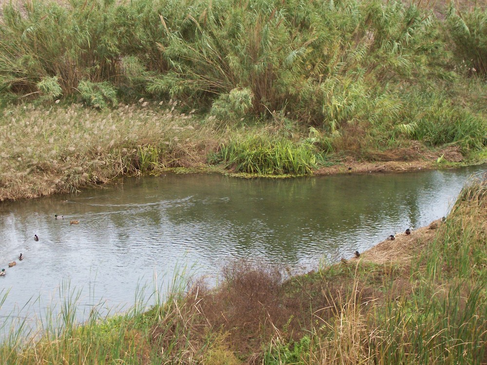 Naturaleza cercana a núcleo urbano