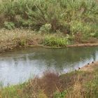 Naturaleza cercana a núcleo urbano