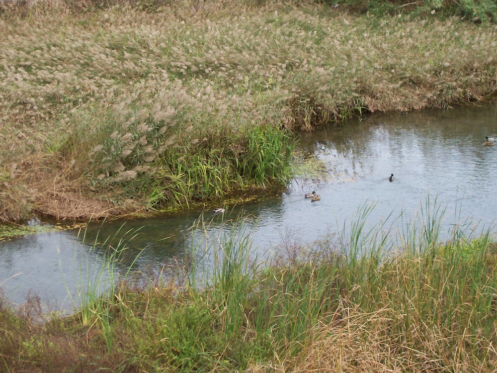 Naturaleza cercana a núcleo urbano