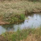 Naturaleza cercana a núcleo urbano