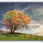 Naturaleza de colores