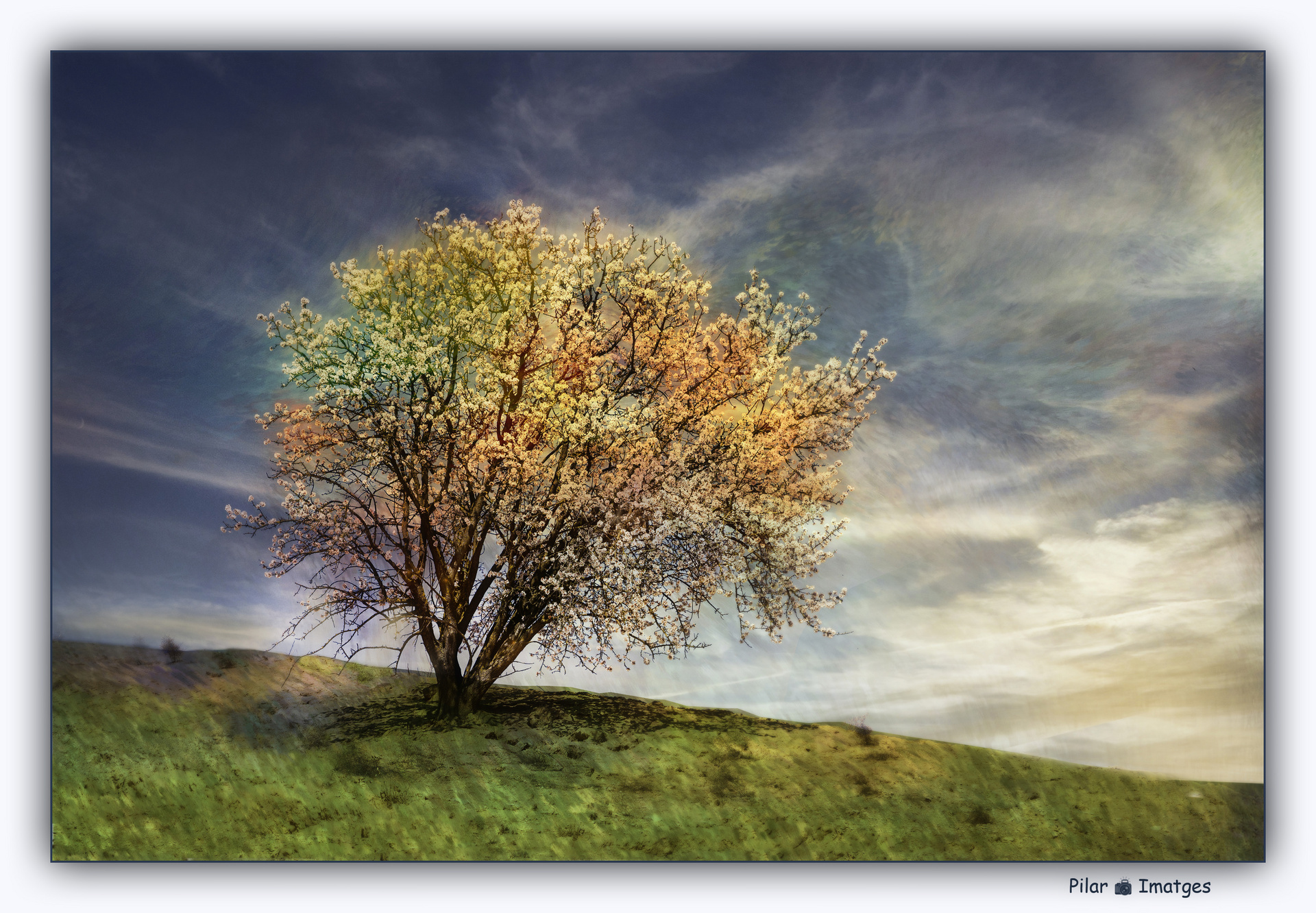 Naturaleza de colores