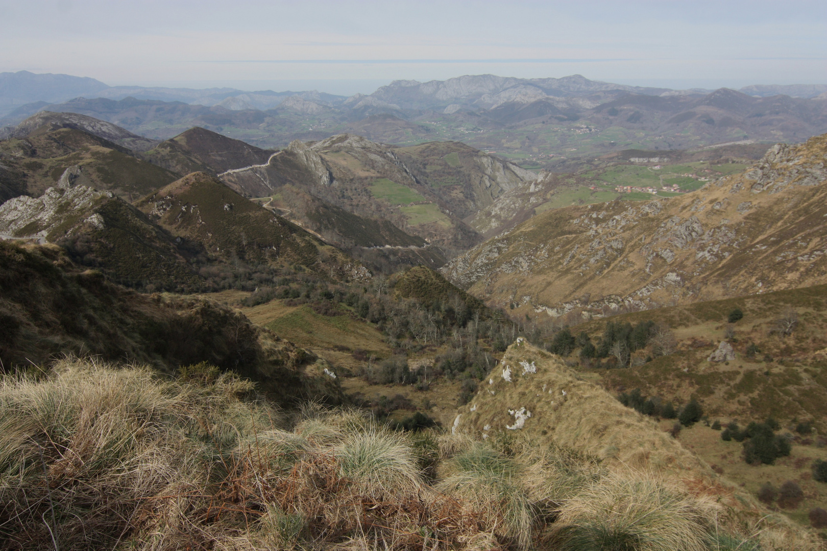 naturaleza de excepción entre bosques y montañas