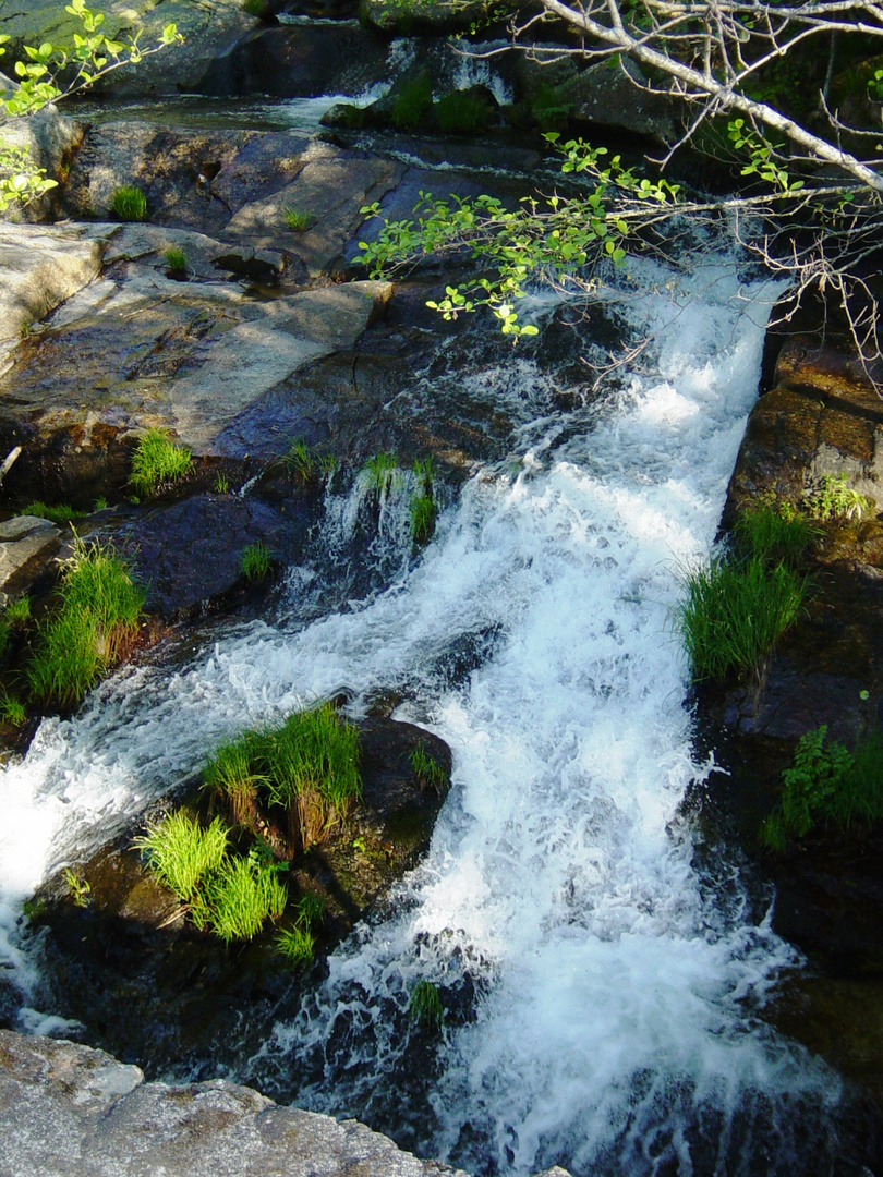 Naturaleza en movimiento