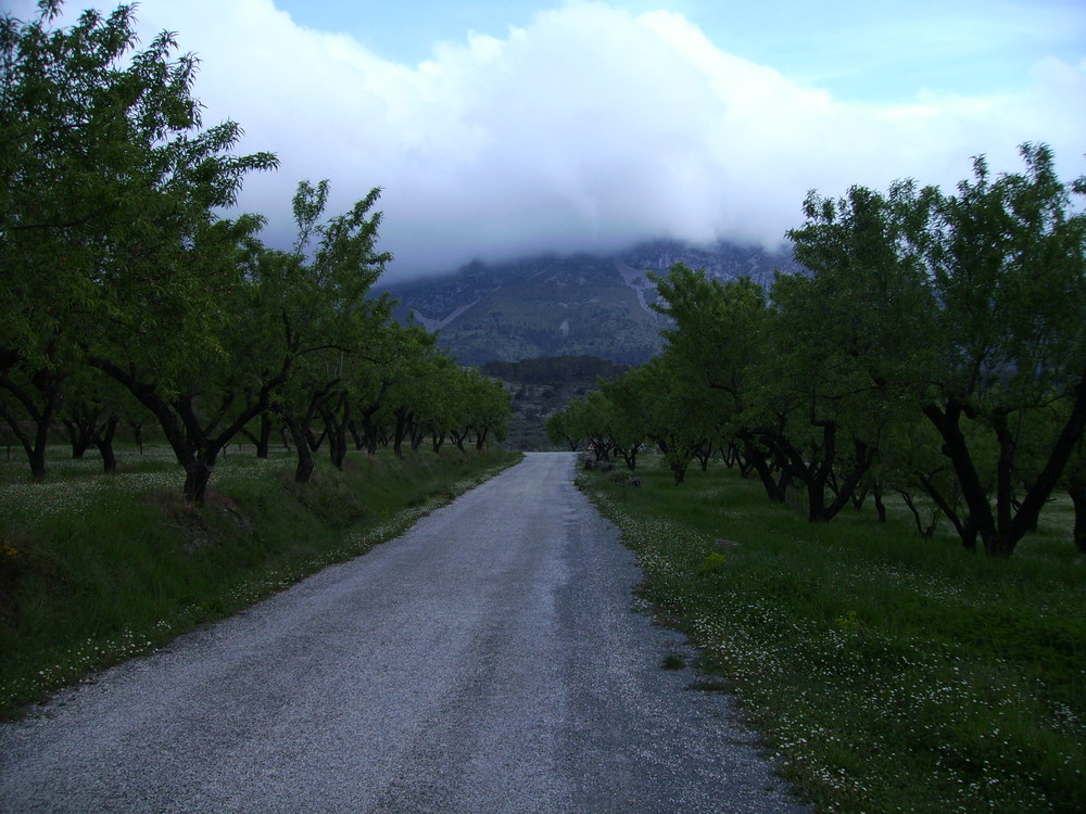 naturaleza en su naturaleza,