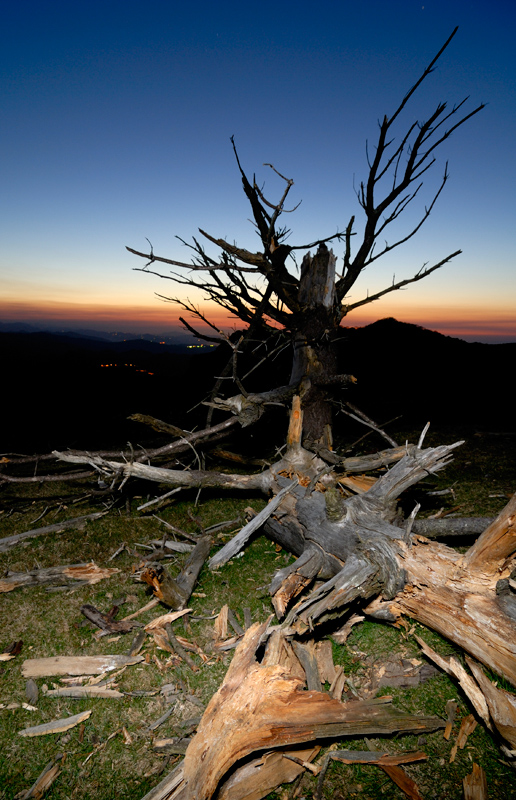 Naturaleza muerta