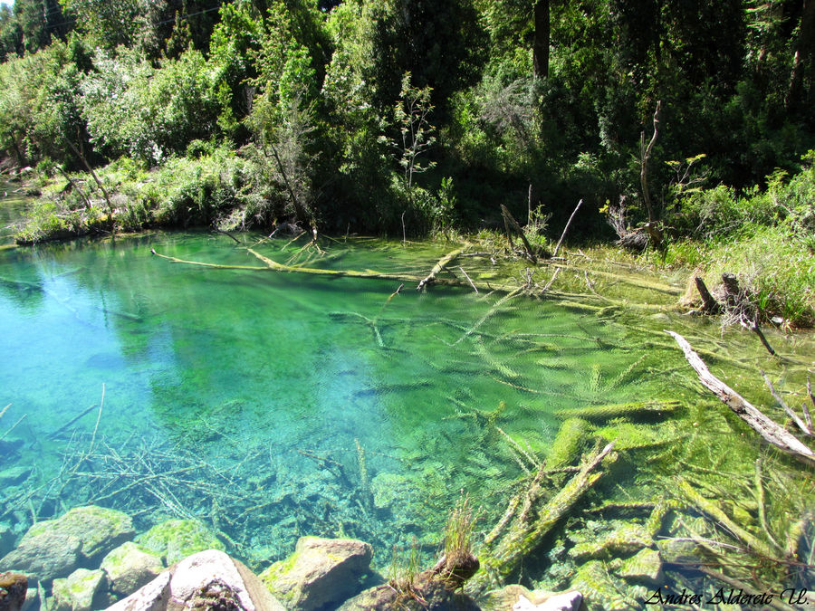 NATURALEZA VIRGEN