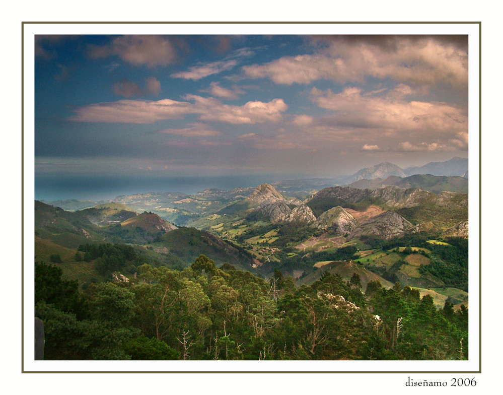 Naturaleza viva