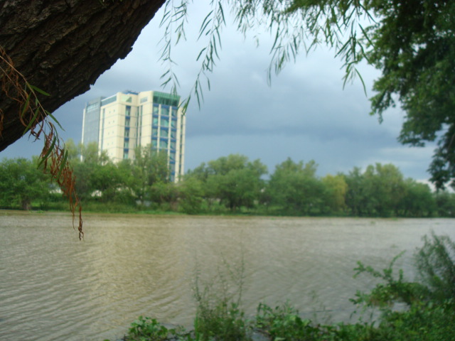 NATURALEZA Y ARQUITECTURA