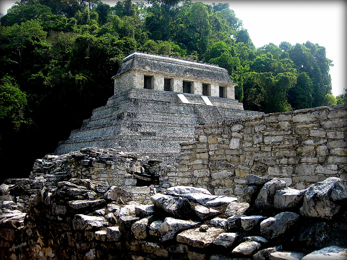 NATURALEZA Y PIEDRA