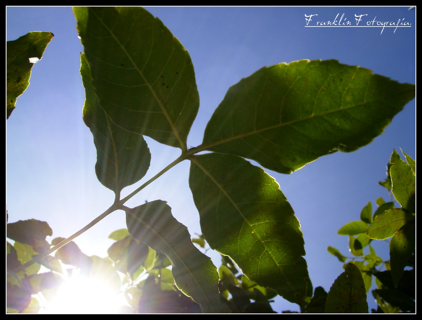 NATURALEZA Y SOL