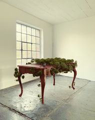 naturalis-Tisch