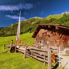 Naturalpe Gemstel Schönesboden im Kleinwalsertal Mittelberg