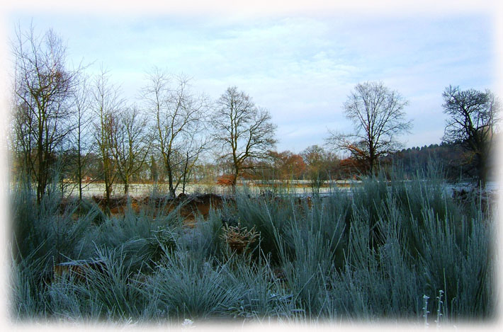 Naturalwildpark Granat ( Haltern am see )