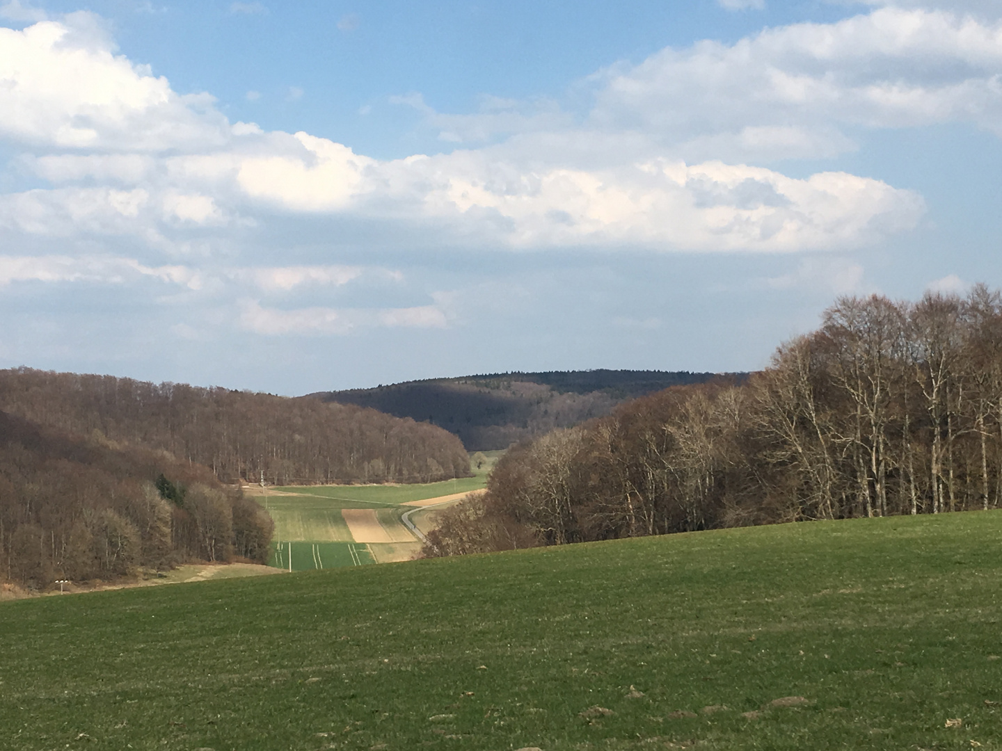 Naturansicht Schwäbische Alb