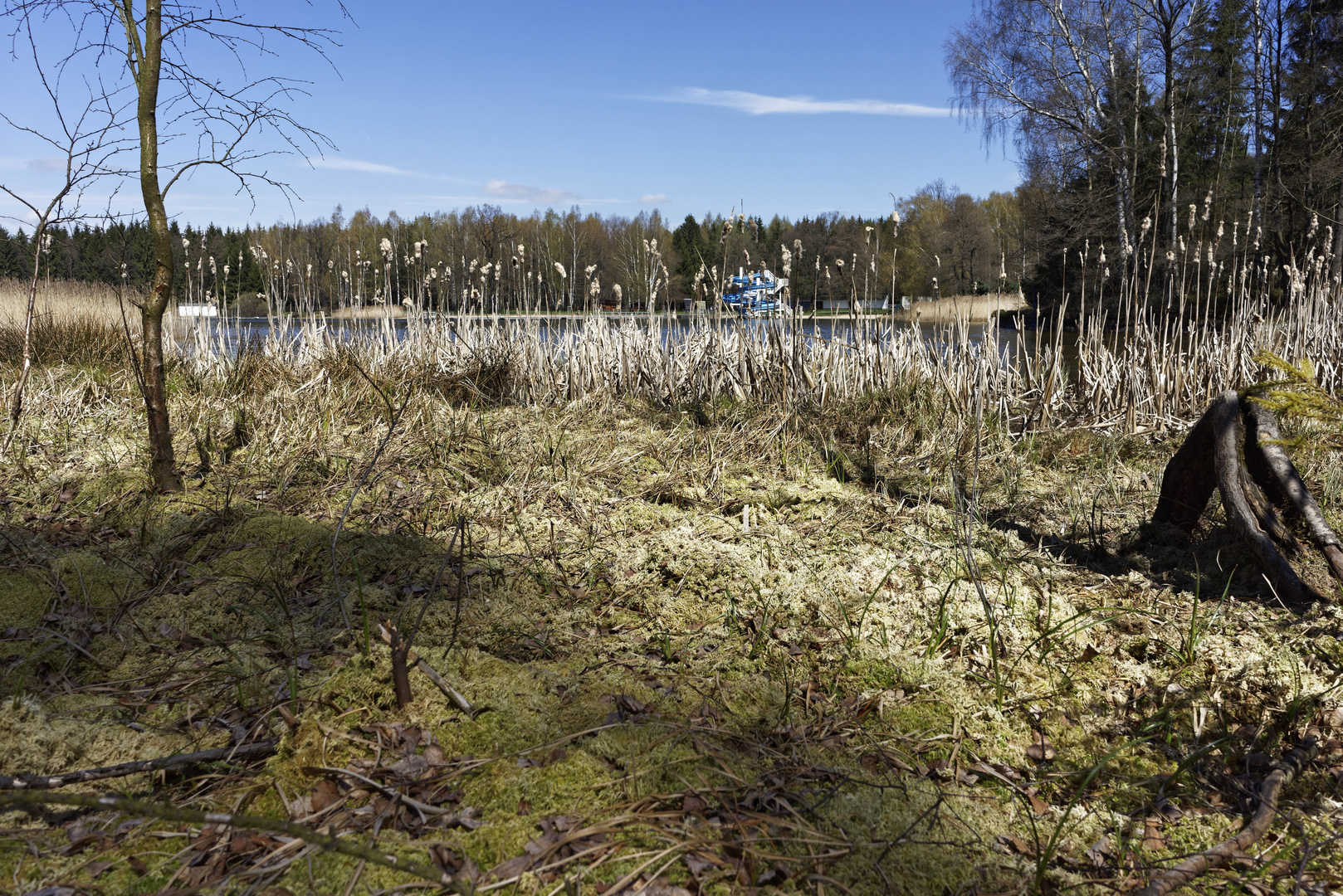 Naturbad Erzenglerteich