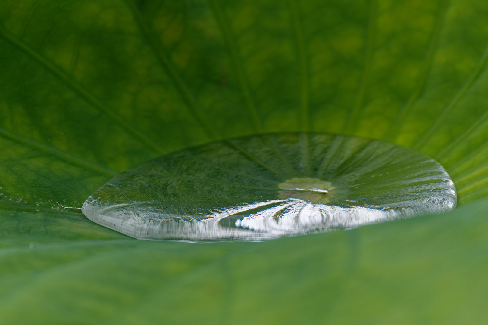 Naturbadewanne