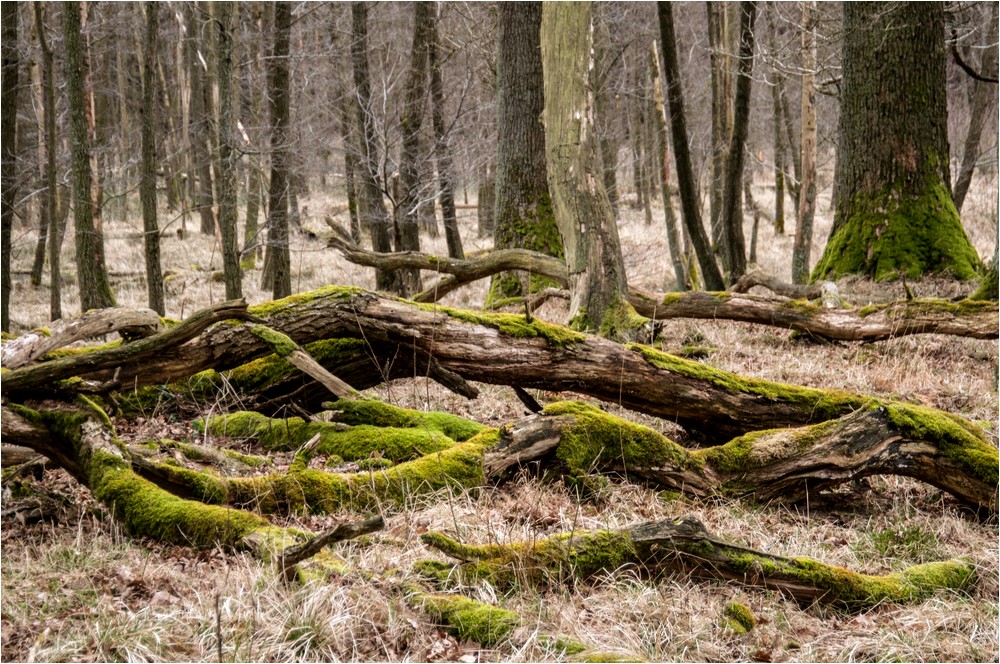 Naturbelassen