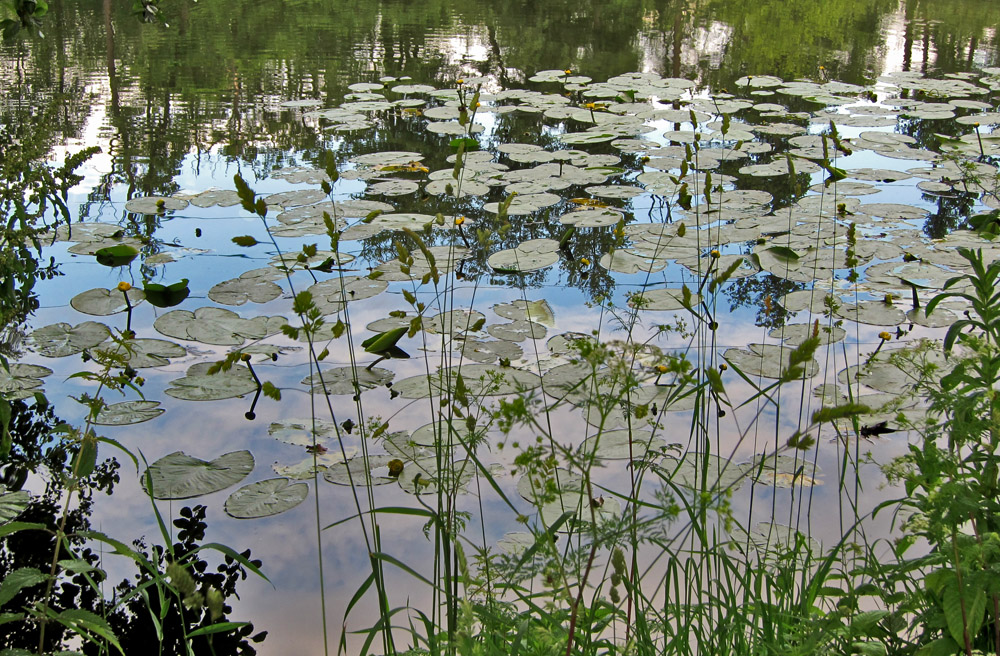 Naturbelassen