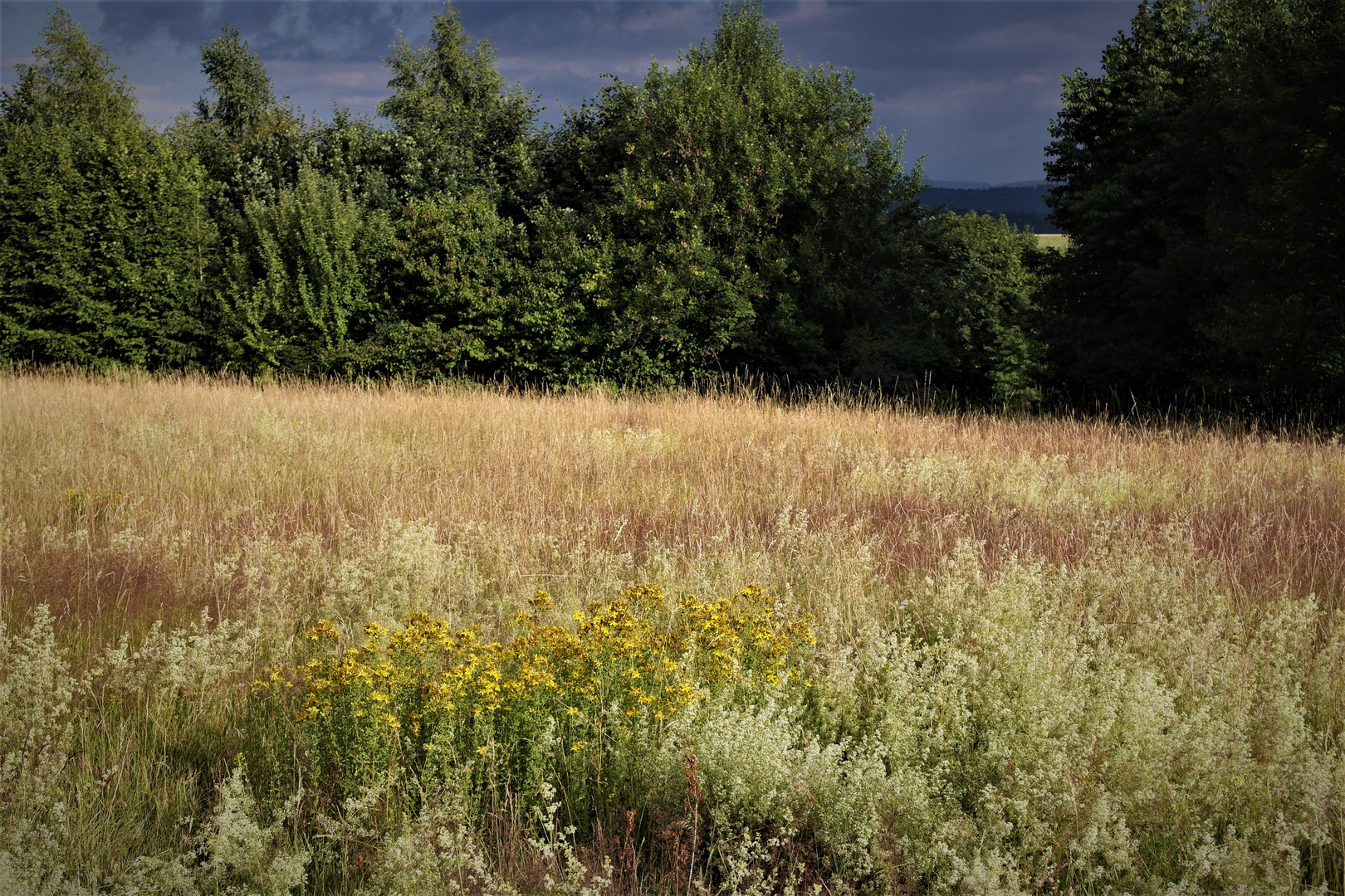 Naturbelassen mit kleinem Durchblick vom Bühl  zum Fichtelgebirge