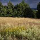 Naturbelassen mit kleinem Durchblick vom Bühl  zum Fichtelgebirge