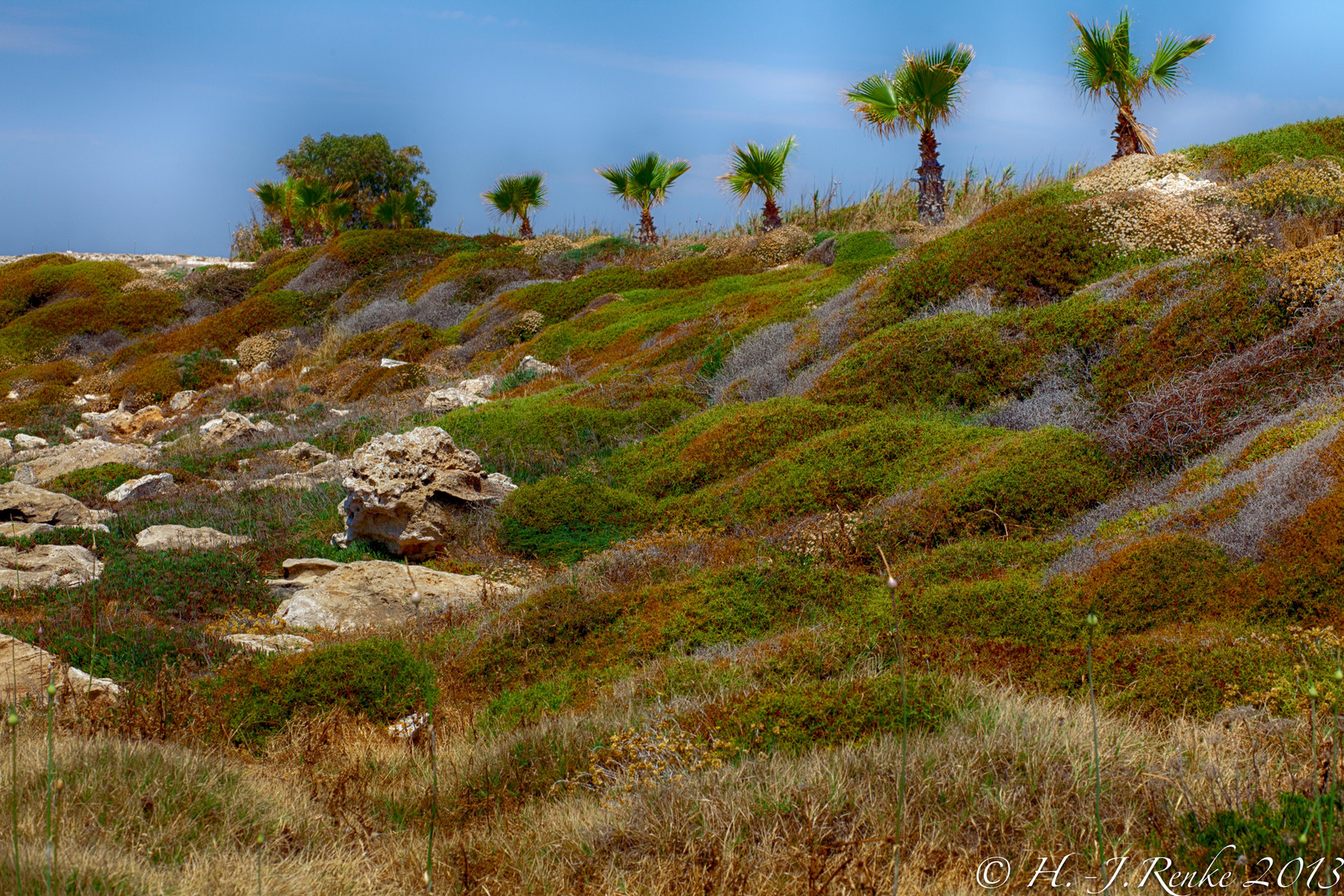 Naturbelassene Küstenlandschaft