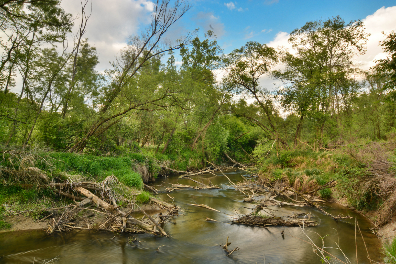 Naturbelassener Fluss