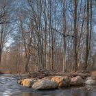 Naturbelassener Flusslauf