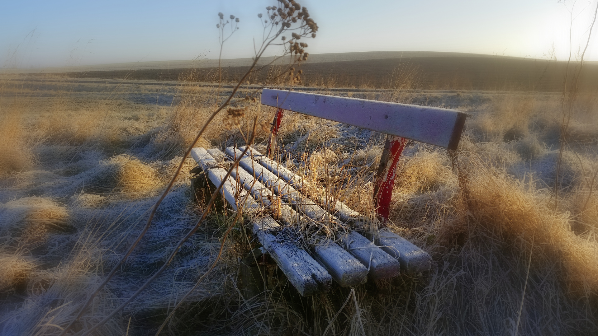 Naturbesetzte Bank