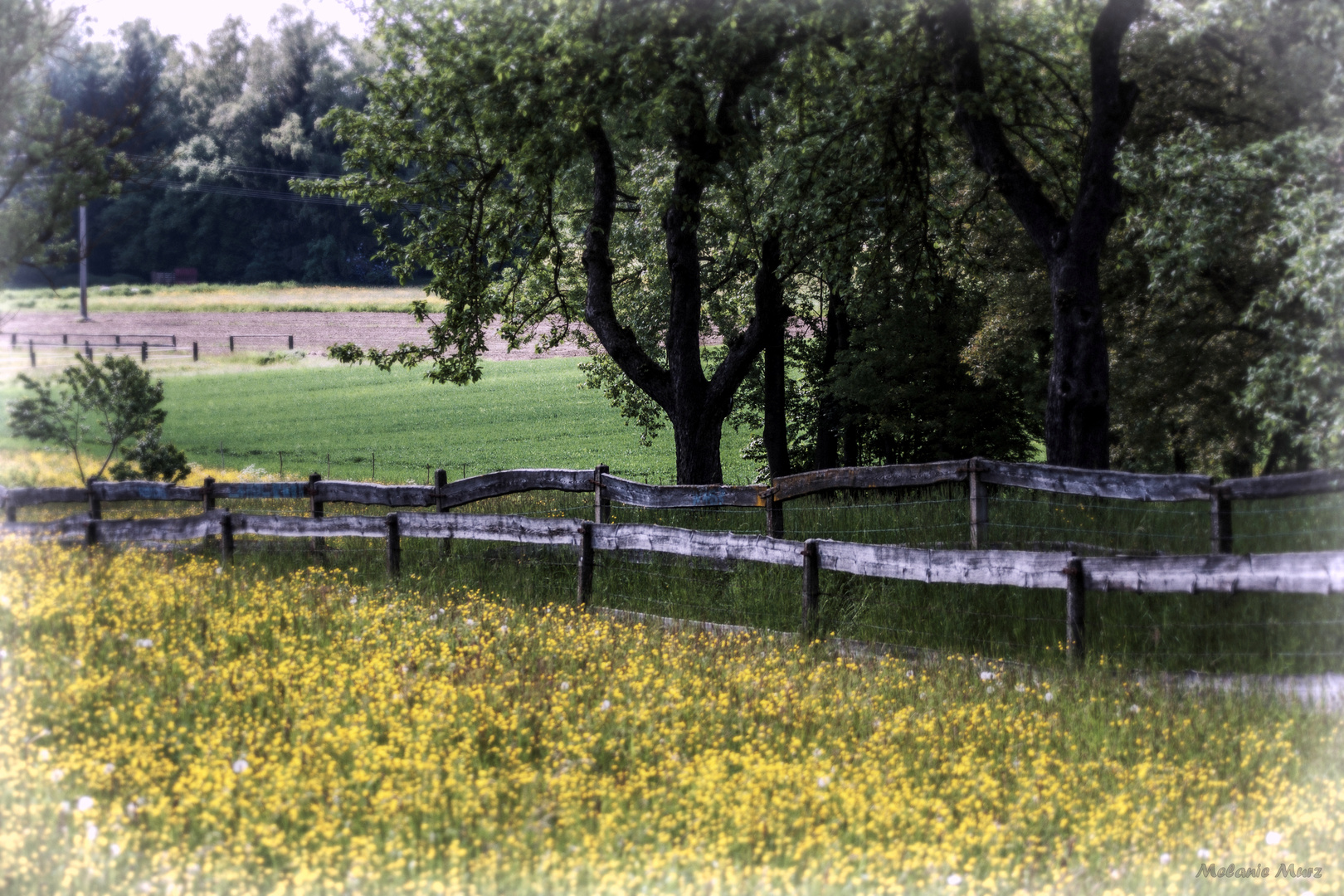 Naturblick