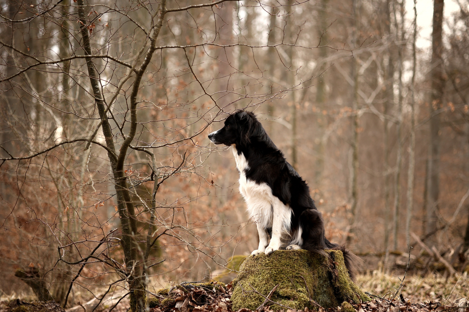 Naturblick