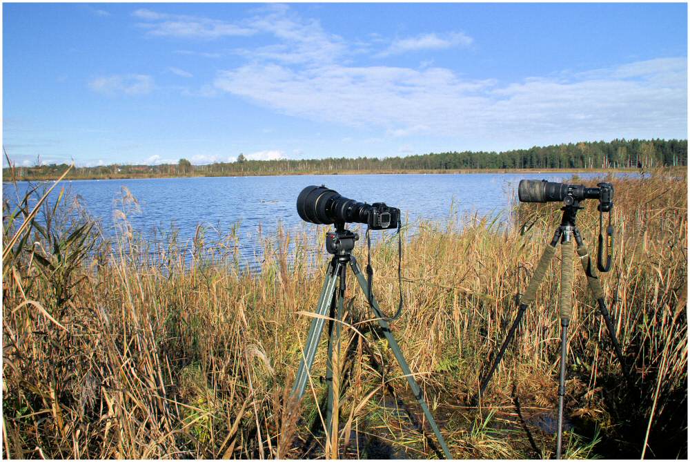 Naturblick