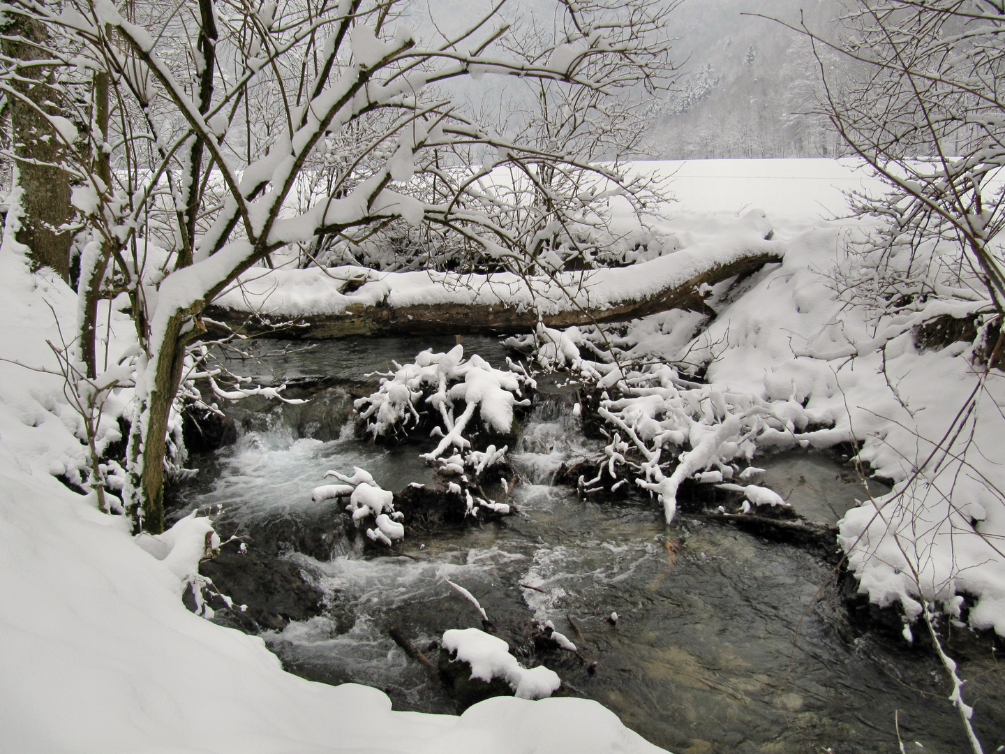 Naturbrücke